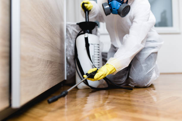 Best Flea Control Services  in Schofield, WI