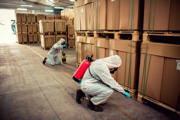 Best Cockroach Control Services  in Schofield, WI