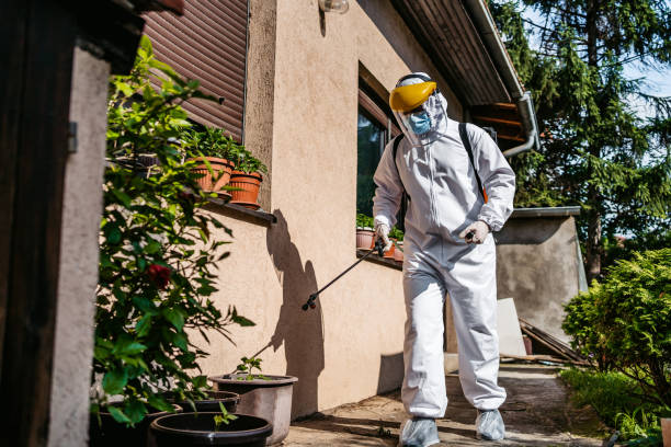 Best Wasp Removal Services  in Schofield, WI