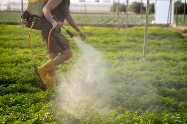 Best Affordable Pest Control Services  in Schofield, WI
