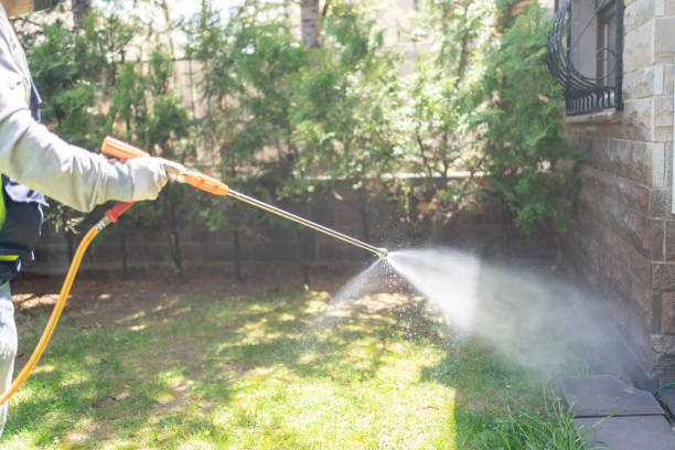Best Mosquito Control Services  in Schofield, WI