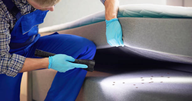 Best Mosquito Control Services  in Schofield, WI