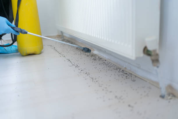 Best Pest Removal Services  in Schofield, WI